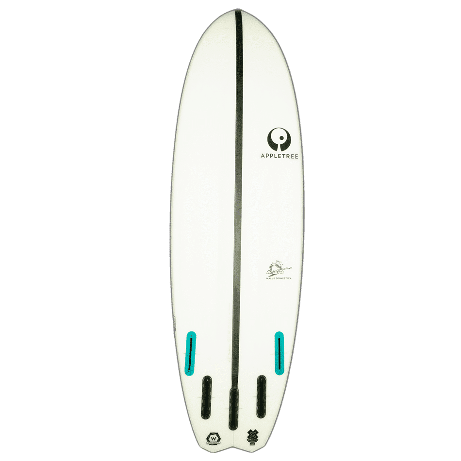 Surf Kite Malus domestica WL Appletree bottom